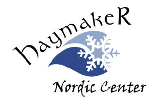 nordic center logo