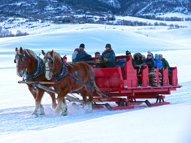 Horse-Drawn Sleigh Ride Dinner!